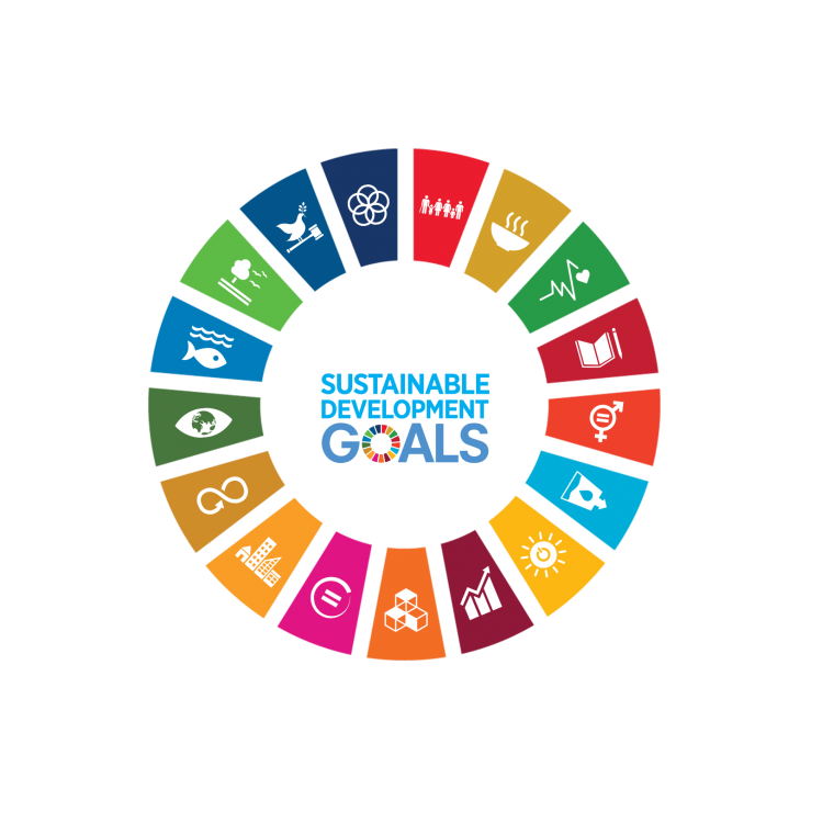IUB SDGs Portal