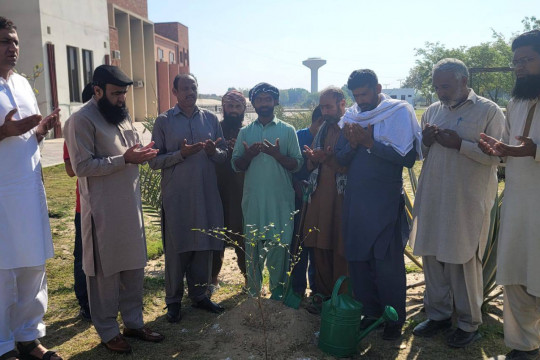On the occasion of World Forest Day 2025, a tree plantation drive was organized at IUB