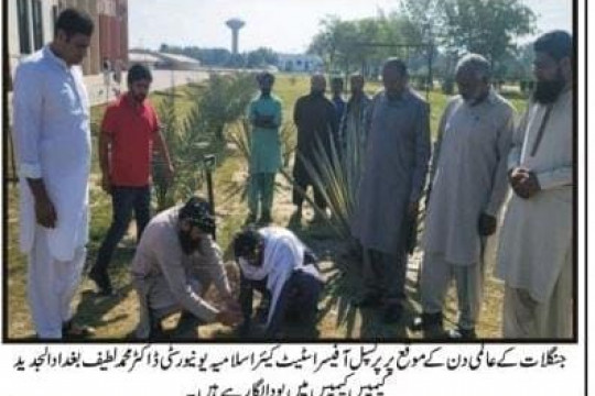 News Cuttings 22 March 2025