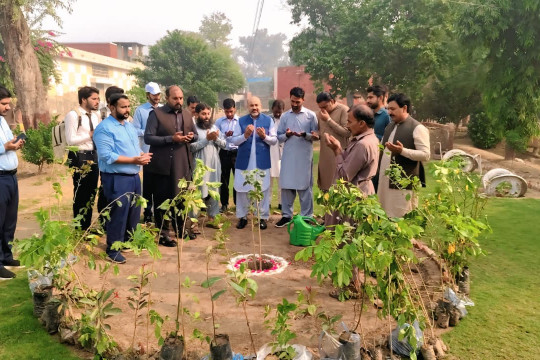 At the Bahawalnagar Campus of the Islamia University of Bahawalpur, a plantation drive was held.