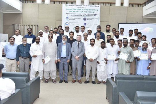 An event on “01 day training on sugarcane varieties identification and production technology” organized at IUB
