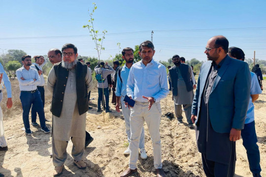Tree planting campaign organized by Faculty of Management Sciences and Commerce at Baghdad Campus, IUB