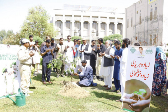 Widespread distribution of saplings to staff, students, and other people in celebration of World Forest Day 2025