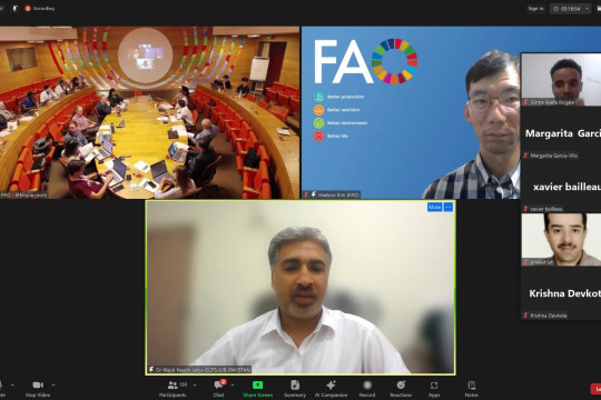 Prof. Dr Wajid Nasim Jatoi from IUB participated in International Workshop organized by FAO of United Nations