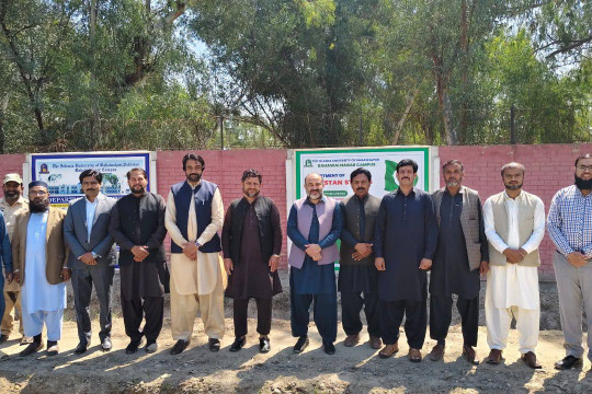 Wall Decor and Plantation Inaugurated at IUB Bahawalnagar Campus