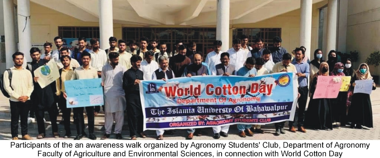 An awareness walk was organized by The Islamia University of Bahawalpur in connection with World Cotton Day