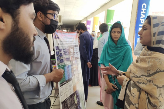 International Business Project Competition was organized at the Department of Commerce, IUB