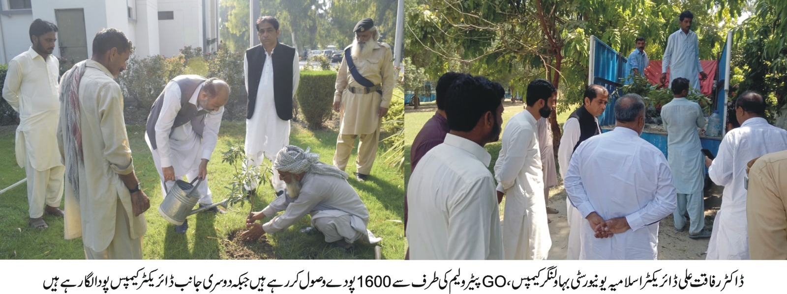 Dr. Rafaqat Ali Director IUB Bahawalnagar Campus thanked Go Petroleum for providing 1600 saplings