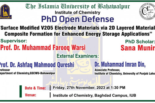 PhD Open Defense at the Institute of Chemistry, IUB