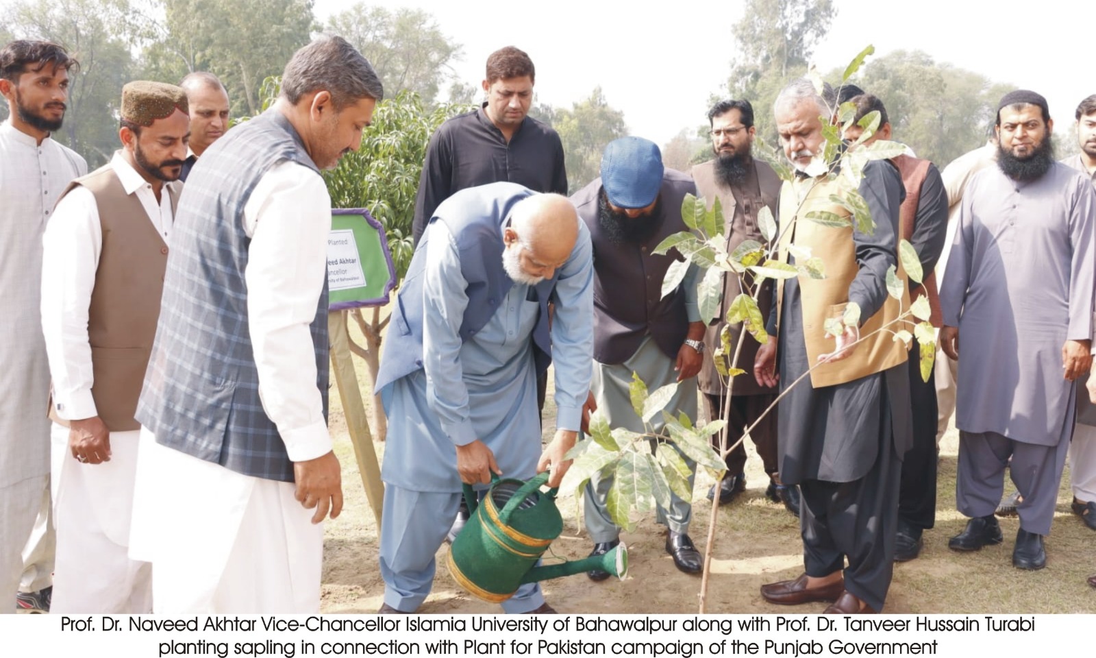 Tree plantation has started in the IUB under Plant for Pakistan campaign of Punjab government