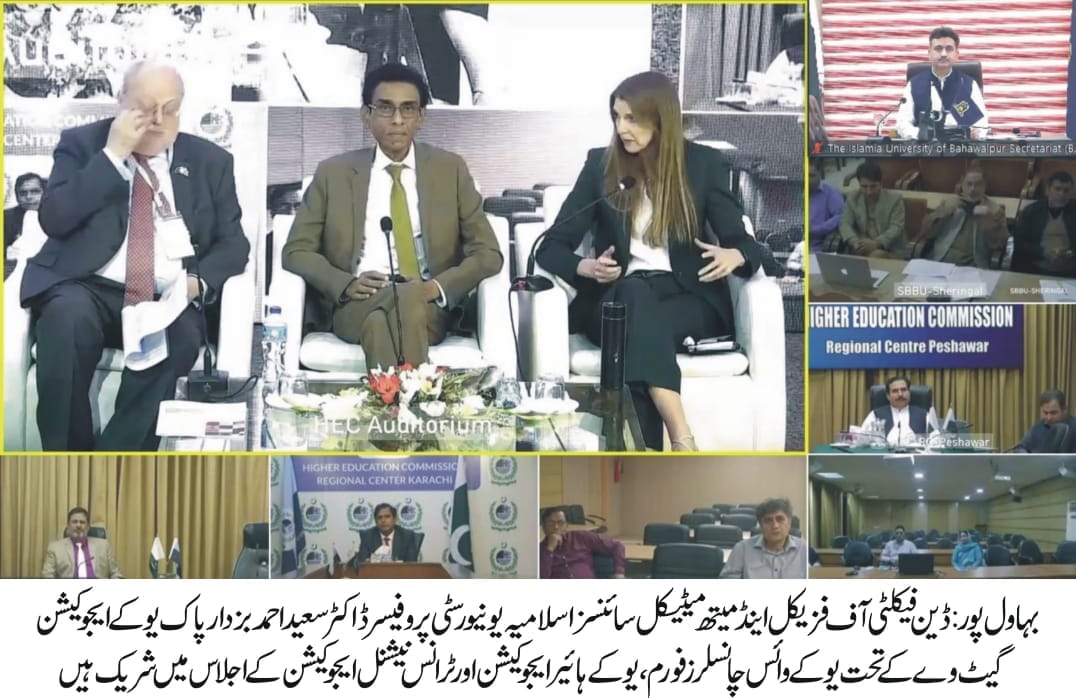 prof dr saeed buzdar in hec webinar