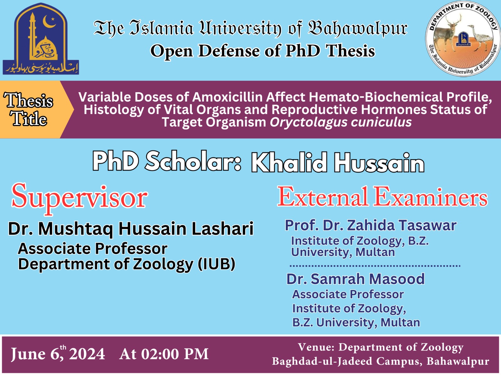 WhatsApp Image 2024-06-04 at 4.11.25 PM (1)