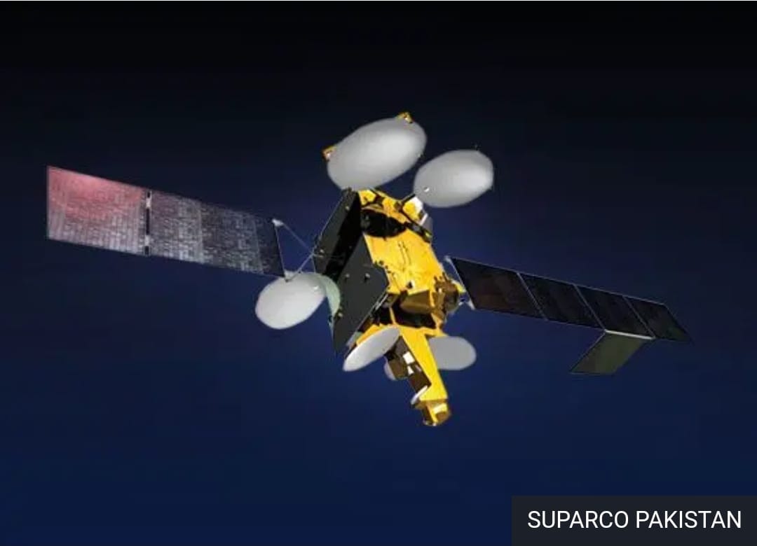 WhatsApp Image 2024-06-10 at 2.08.47 PM