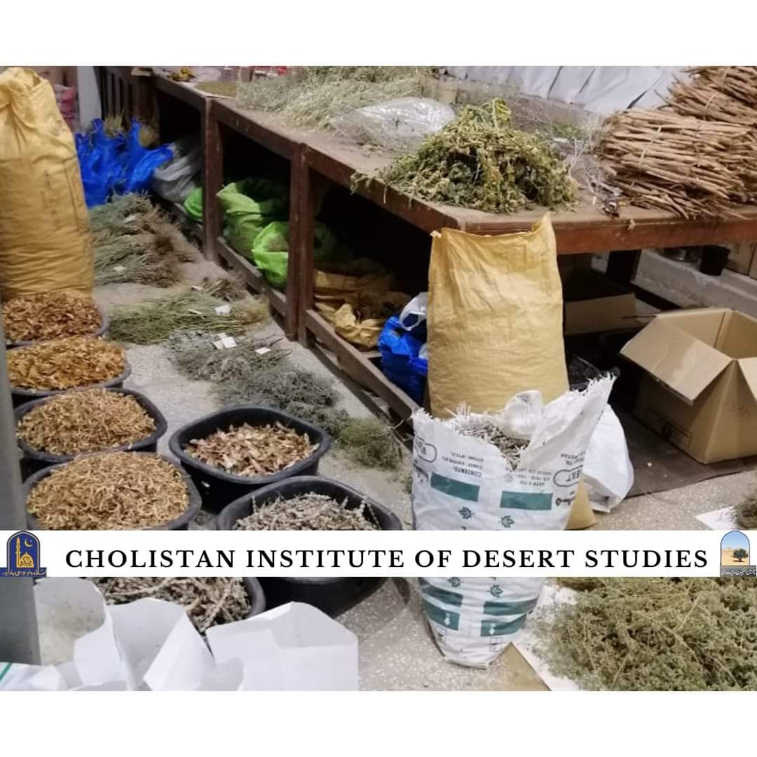 WhatsApp Image 2024-07-08 at 5.05.44 PM