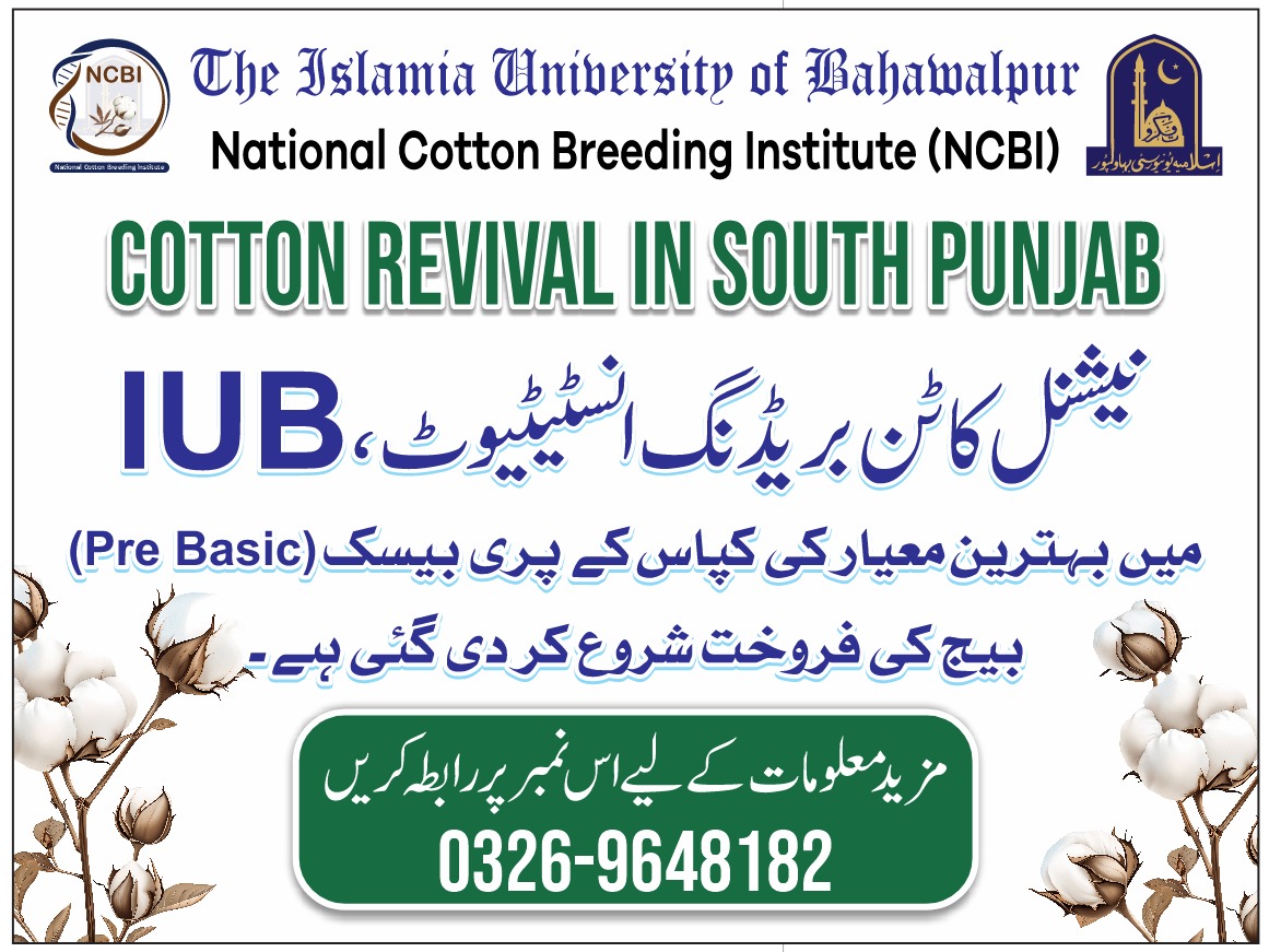 Cotton Revival in South Punjab