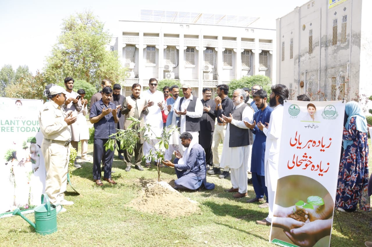 Trees are the guarantee of life on the planet. Prof. Dr. Tanveer Hussain Turabi, Dean, Faculty of Agriculture, IUB