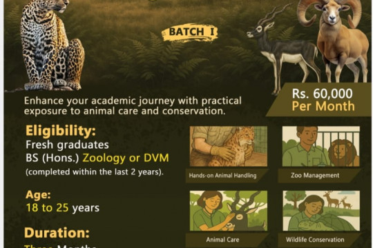 Chief Minister Punjab Wildlife Internship Program 2025 (BATCH 1)