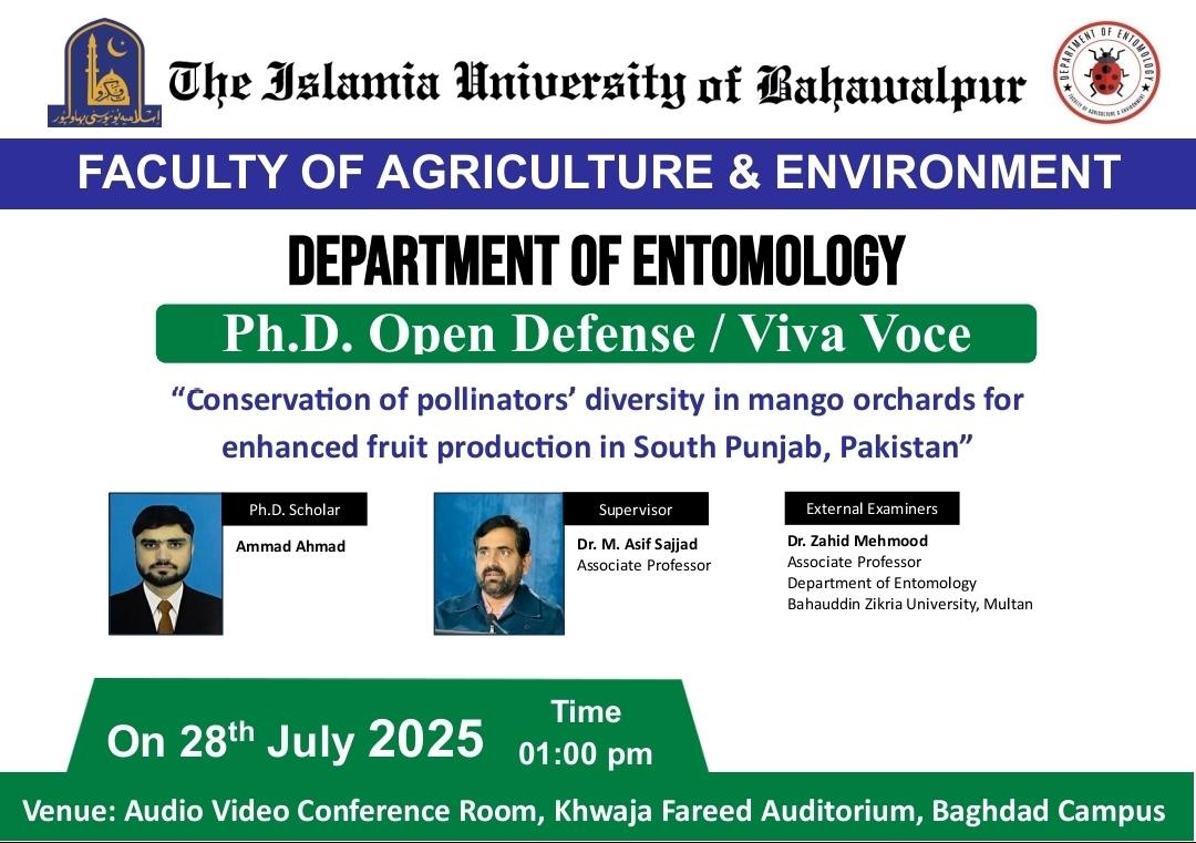 520379287_1151799650321644_5285582856277769560_n