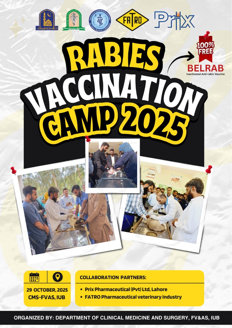 On October 29, 2025, a free rabies vaccination camp will be established at the Baghdad ul Jadeed Campus.
