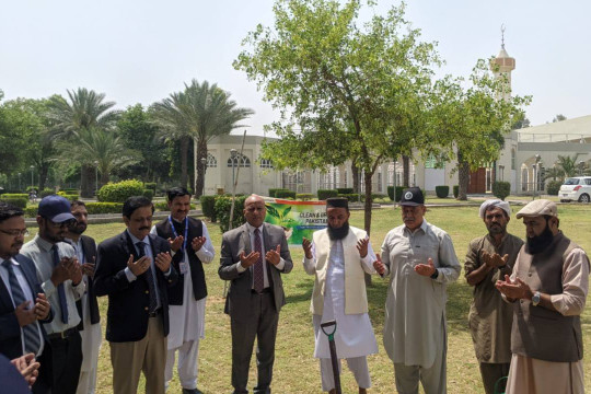 IUB and Allied Bank of Pakistan hold tree plantation drive at Baghdad-ul-Jadeed Campus