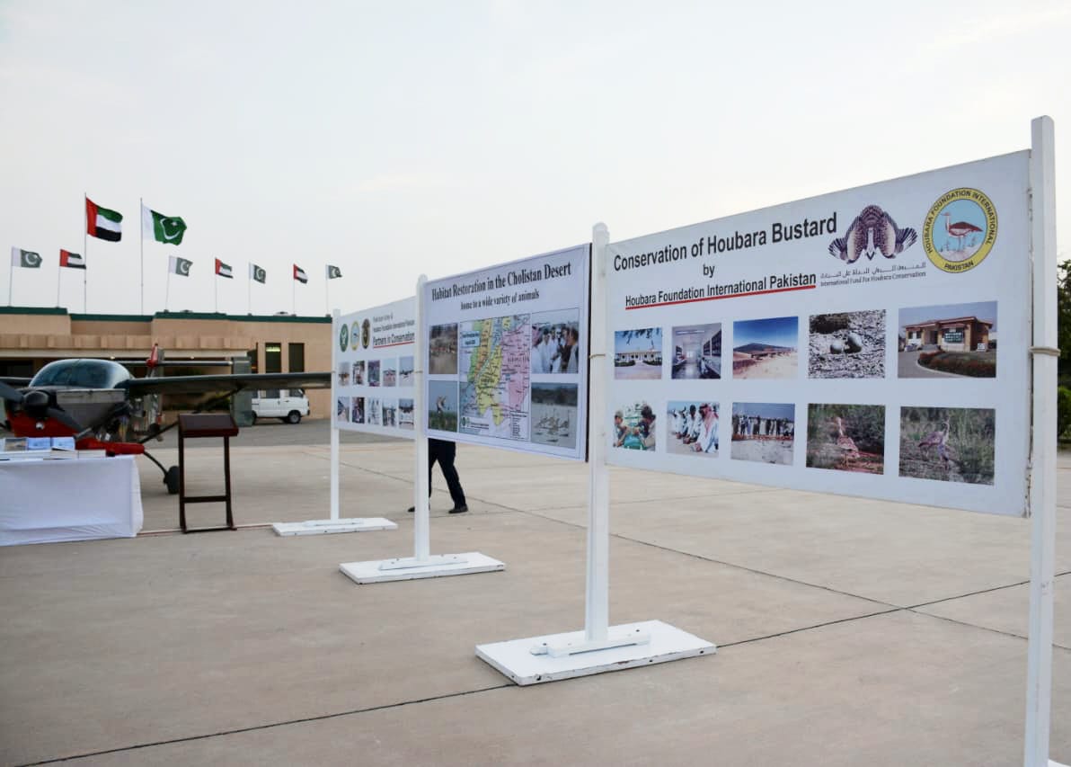 WhatsApp Image 2025-08-09 at 8.48.31 PM (2)