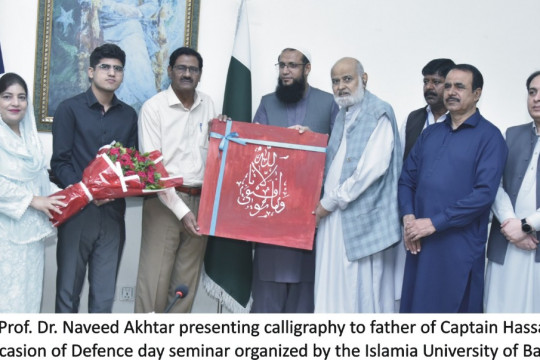 In connection with the Defense Day 2024, a special seminar was held at IUB