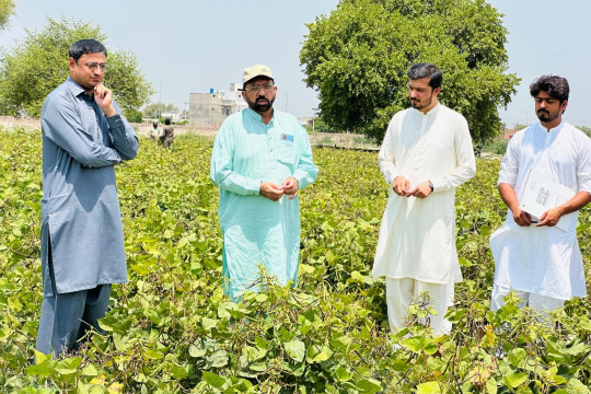Dr. Hamid Nawaz Bhatti of IUB supervised PhD trials on mung-bean production at AZRI Bahawalpur.