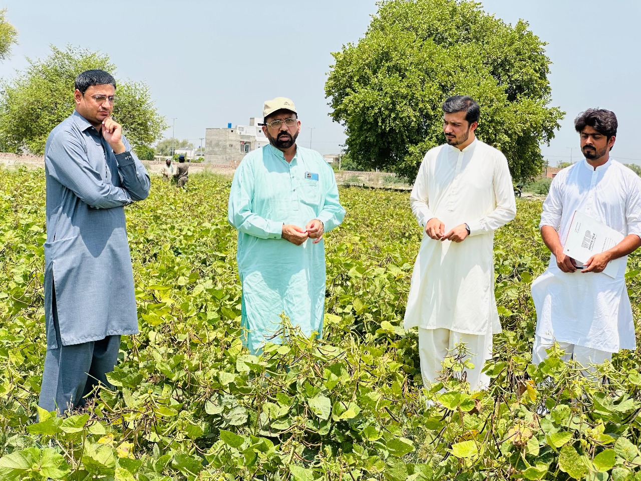 Dr. Hamid Nawaz Bhatti of IUB supervised PhD trials on mung-bean production at AZRI Bahawalpur.