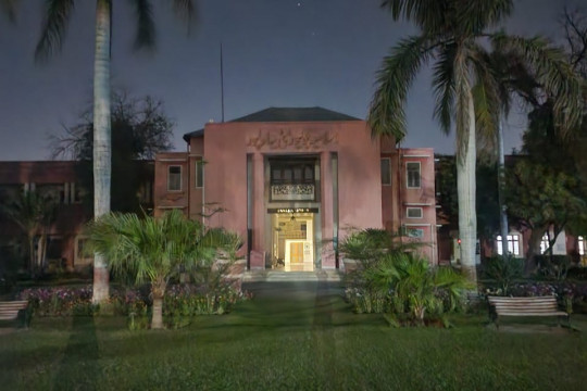 The Islamia University of Bahawalpur Observes Earth Hour 2025