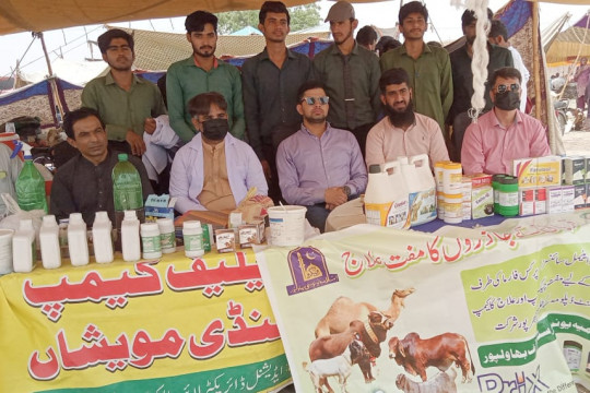 To help livestock farmers in the Bahawalpur cattle market, IUB held a free treatment camp on Eid ul Adha 2025.