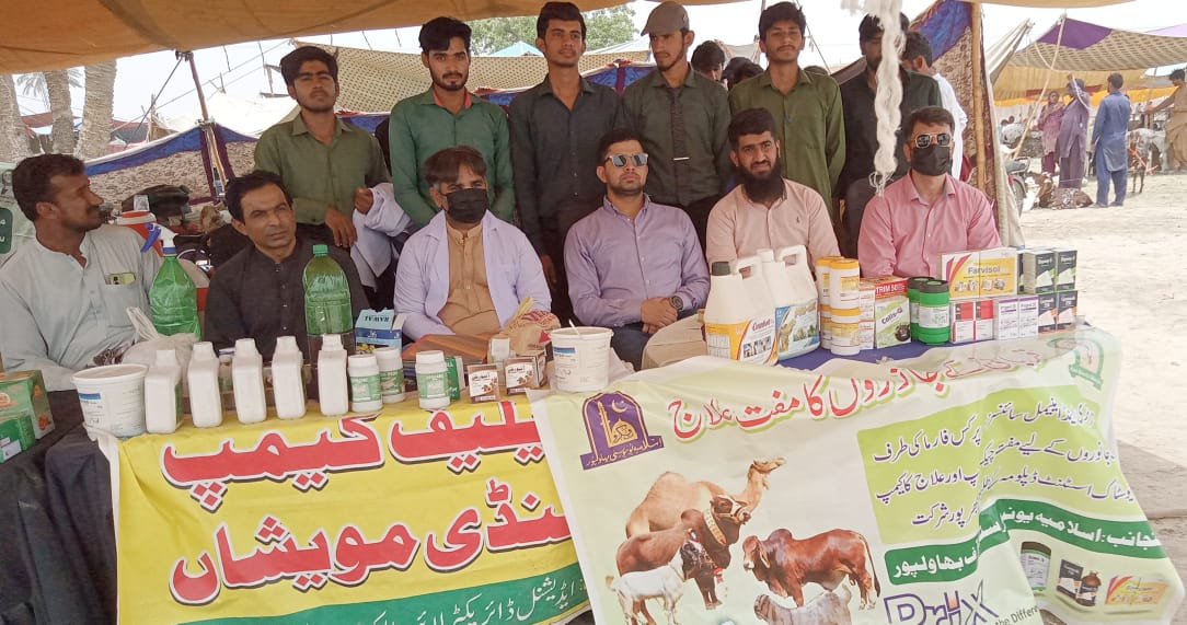 To help livestock farmers in the Bahawalpur cattle market, IUB held a free treatment camp on Eid ul Adha 2025.
