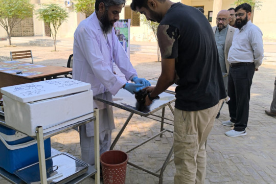 IUB hosted a free rabies vaccination camp for pets in partnership with Prix Pharmaceutica.