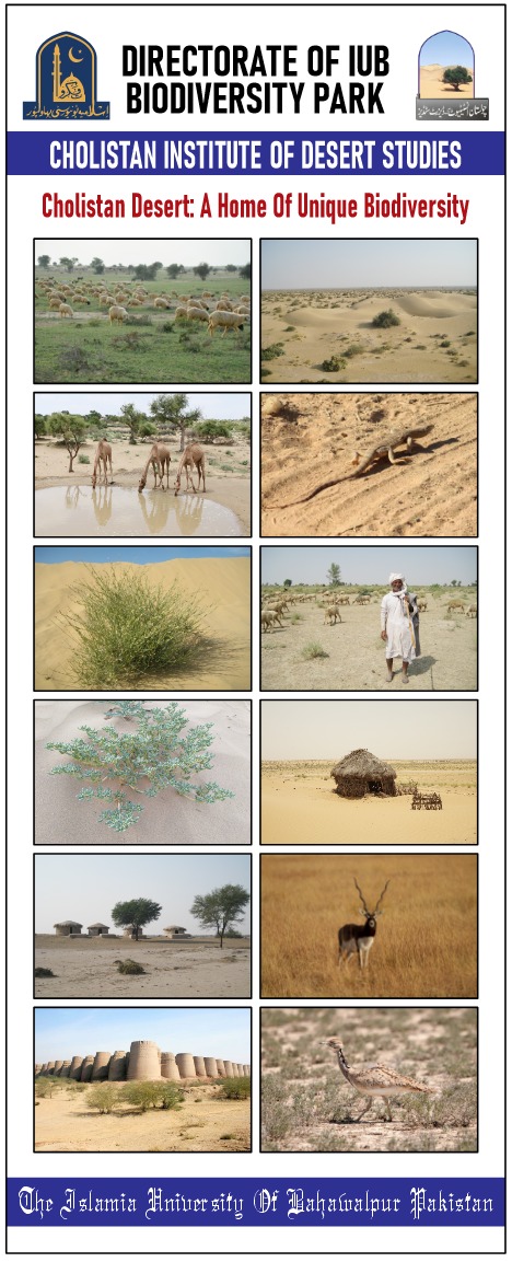 WhatsApp Image 2025-05-22 at 6.58.30 PM (1)