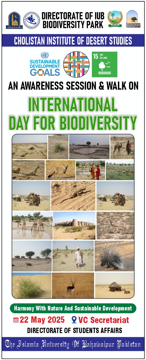 WhatsApp Image 2025-05-22 at 6.58.30 PM