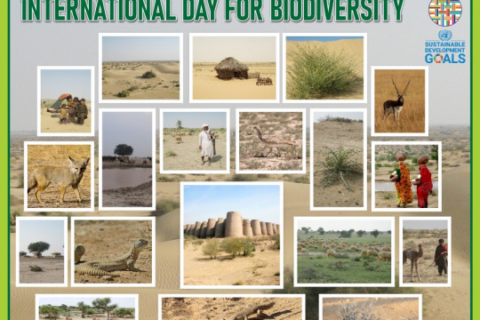 An awareness session and walk on international Day for Biodiversity is scheduled on 23 May 2025.