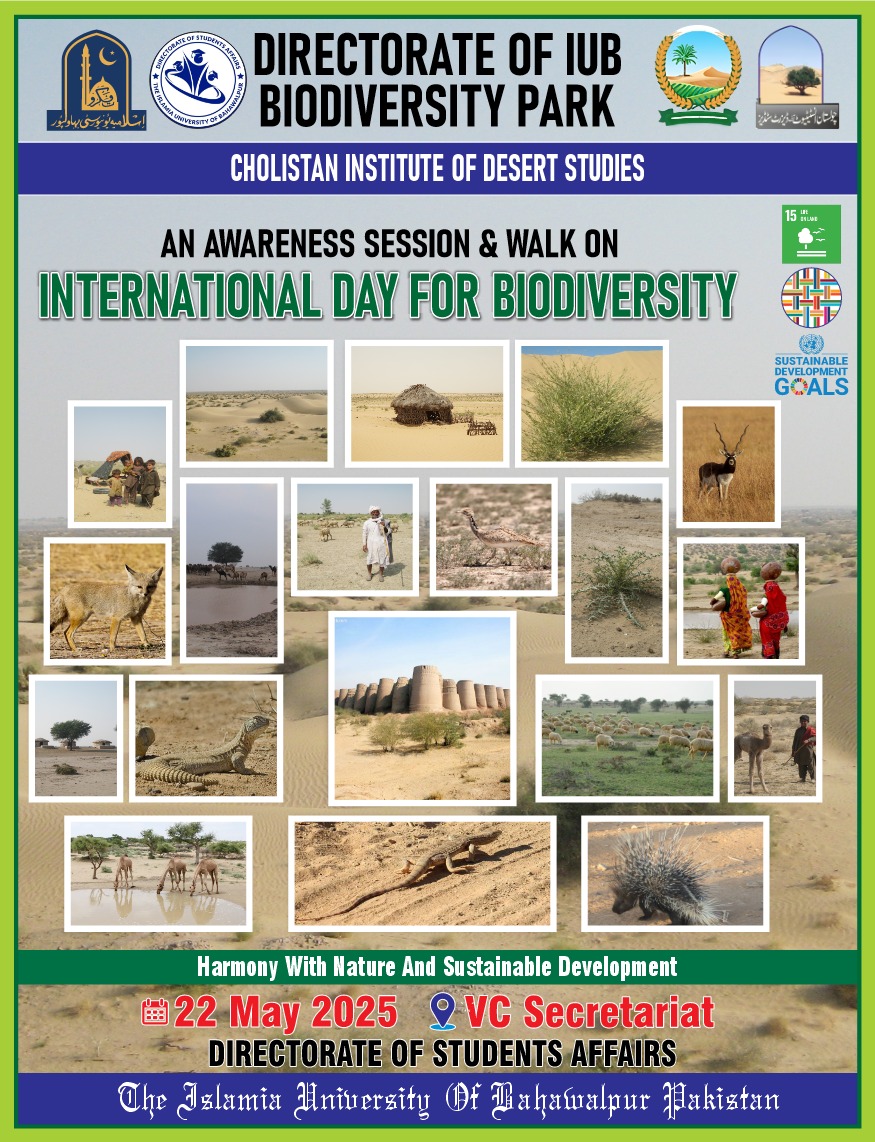 WhatsApp Image 2025-05-22 at 6.57.46 PM