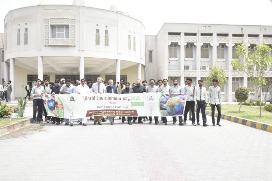 IUB observes World Environment Day 2025 with Awareness Walk and Project Exhibition
