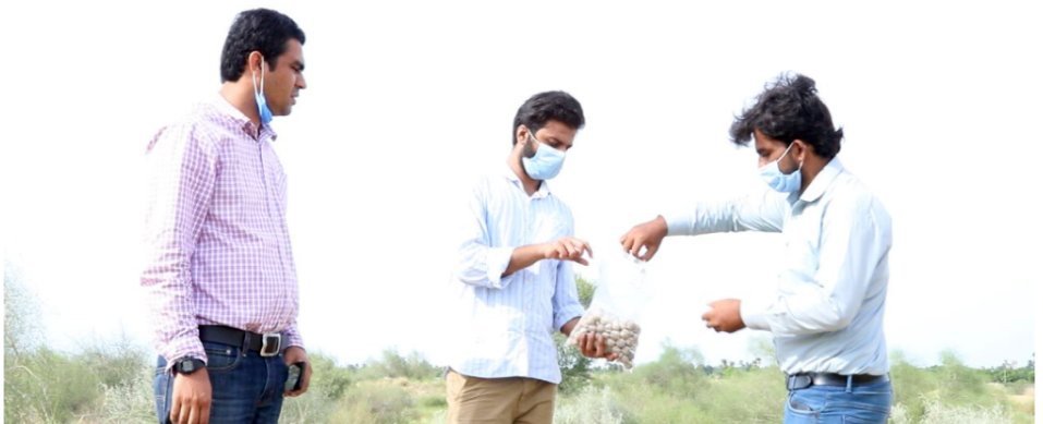 IUB CIDS faculty and students participate in seeds dispersal plantation drive in Cholistan Desert