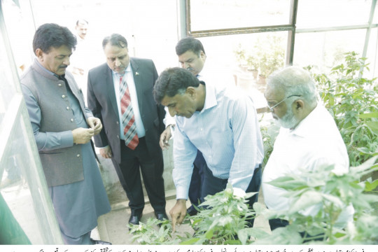 IUB achieved the Status of Fourth Generation