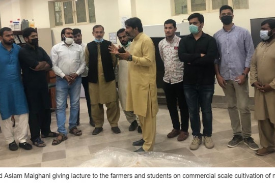 Plant Pathology Department conduct two-day training workshop on mushroom cultivation