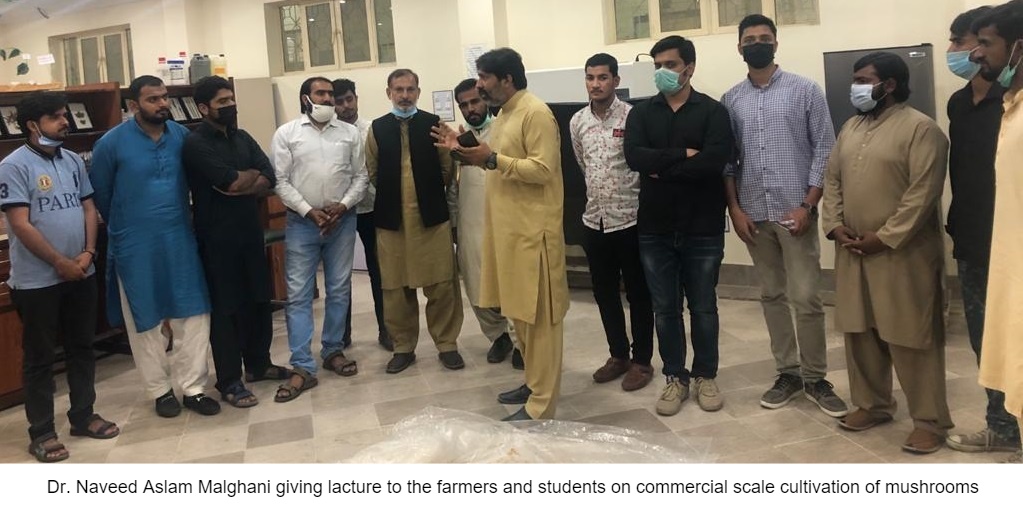 Plant Pathology Department conduct two-day training workshop on mushroom cultivation