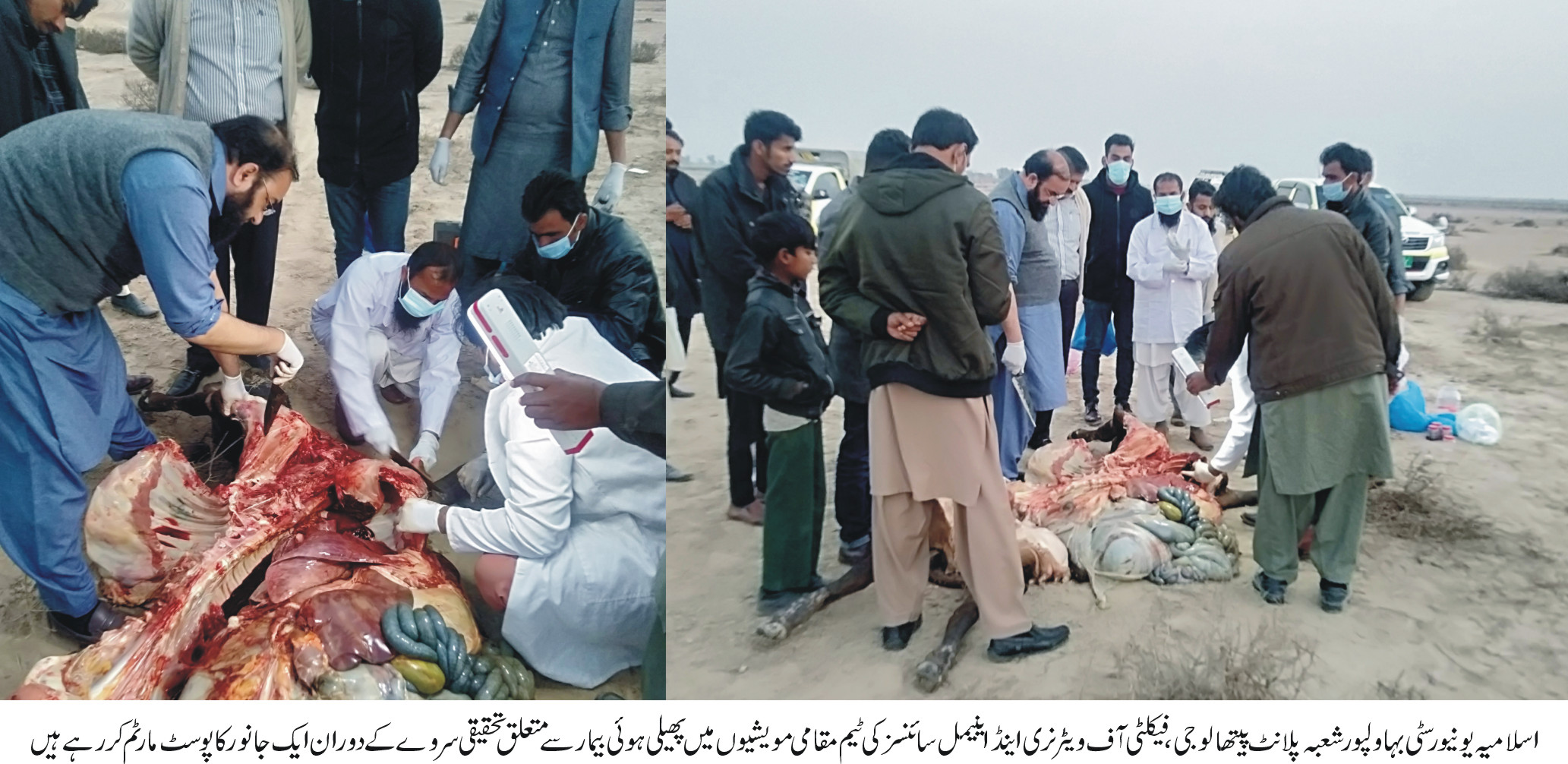 Department of Pathology, Faculty of V&AS, IUB investigated an ongoing disease outbreak at region areas