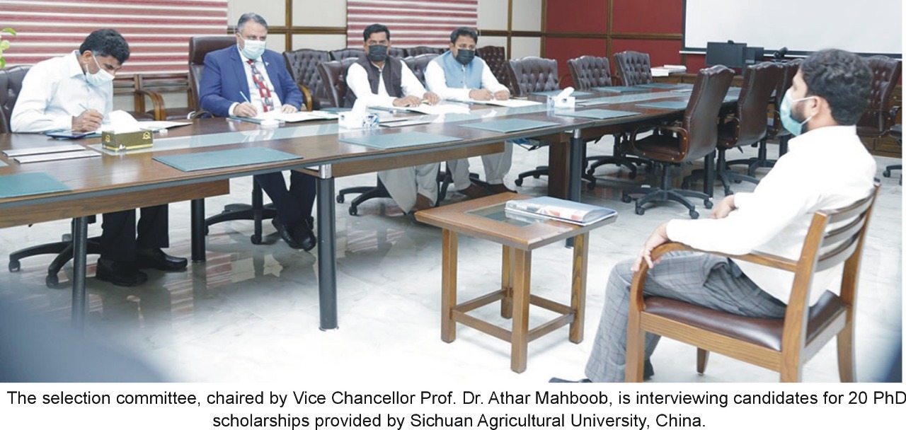 Chinese Agriculture University offered 20 scholarships for the Islamia University of Bahawalpur