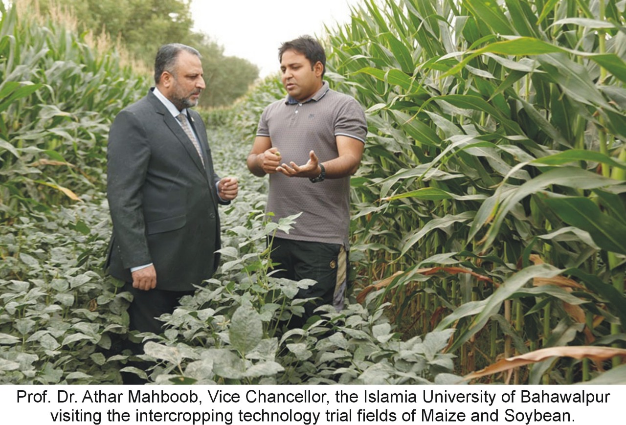 The initiative of Prof. Dr. Athar Mahboob, Vice Chancellor for the Promotion of Agricultural Research at IUB