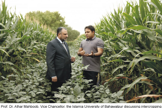 Establishment of the Center for Intercropping Technology at IUB