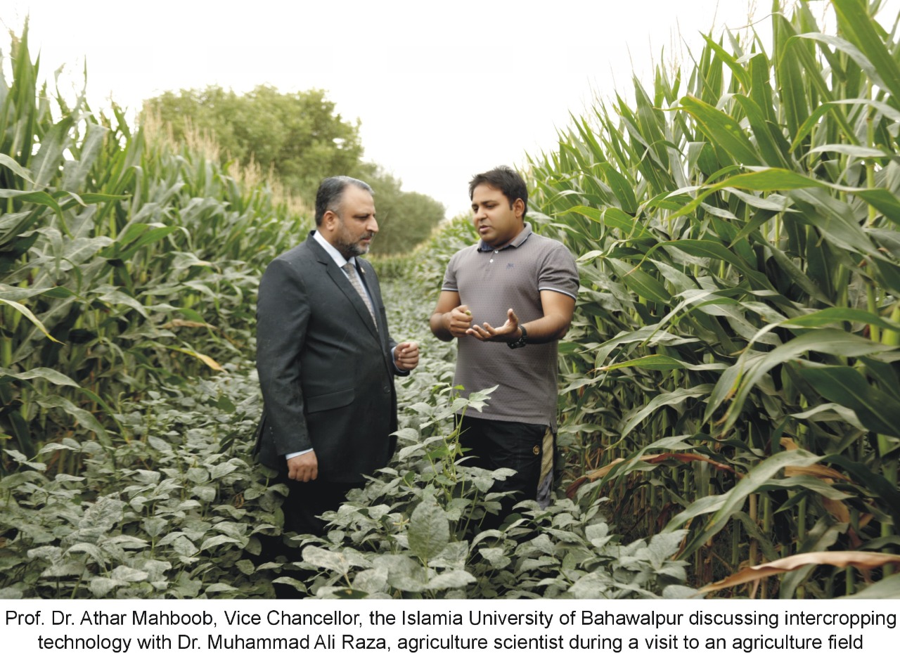 Establishment of the Center for Intercropping Technology at IUB