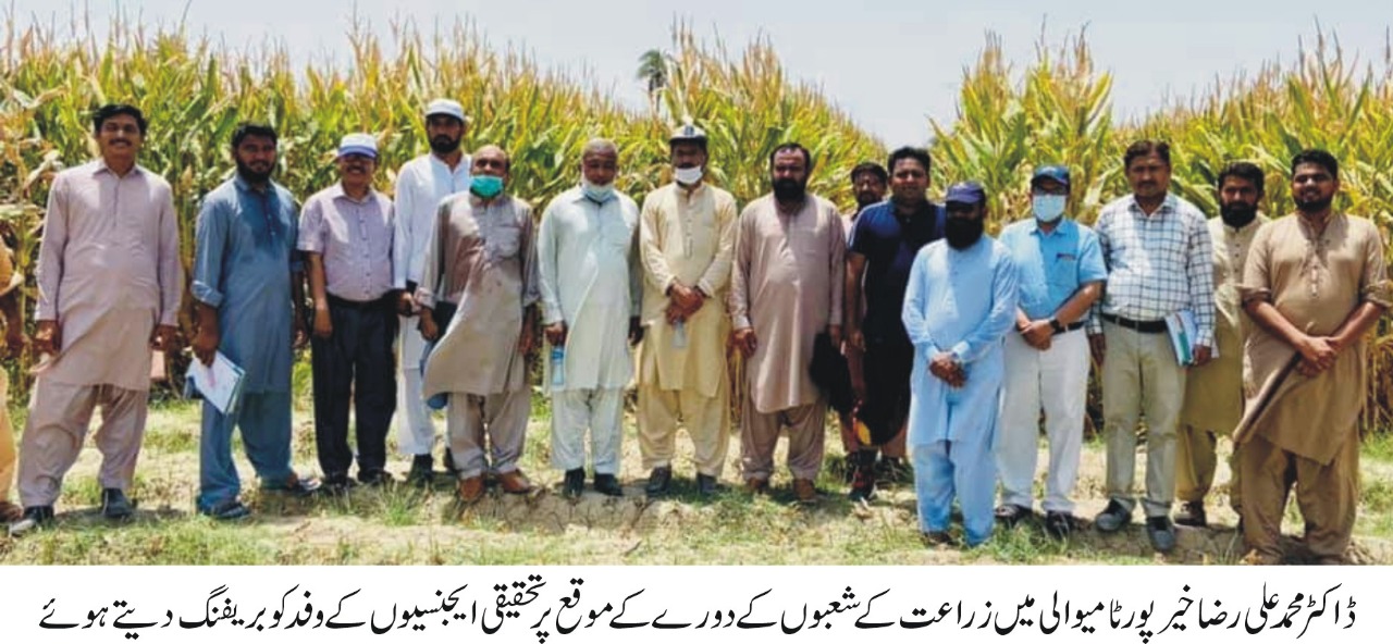 WhatsApp Image 2021-06-01 at 3.15.26 PM