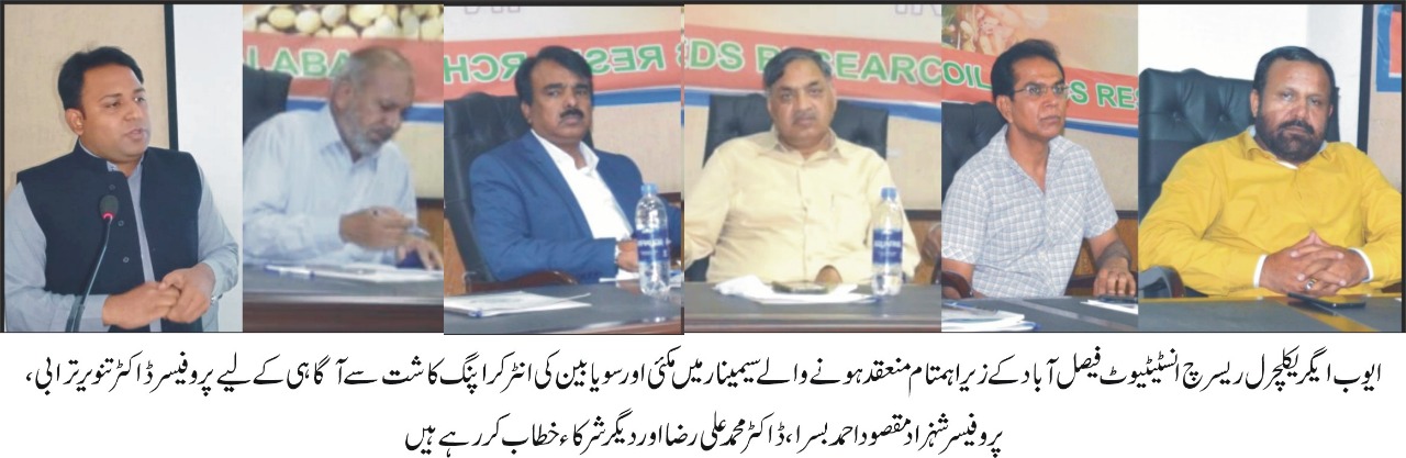 WhatsApp Image 2021-06-17 at 4.57.35 PM (1)