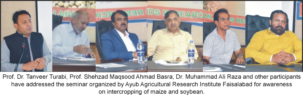 Department of Cholistan Institute of Desert Studies, IUB addressed the seminar participants