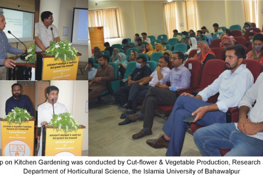 IUB Conducted a Training Workshop on Kitchen Gardening